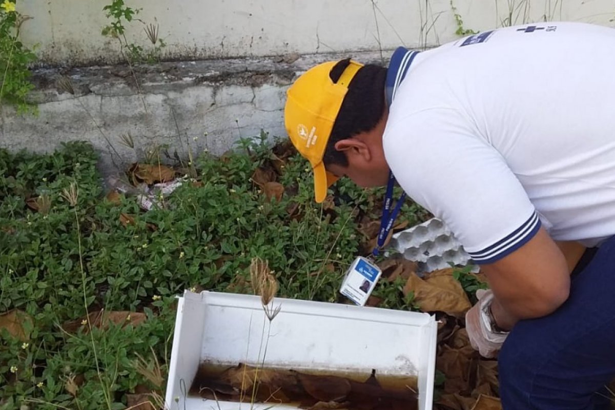 Armadilhas são instaladas em pontos estratégicos de Salvador contra o Aedes Aegypti