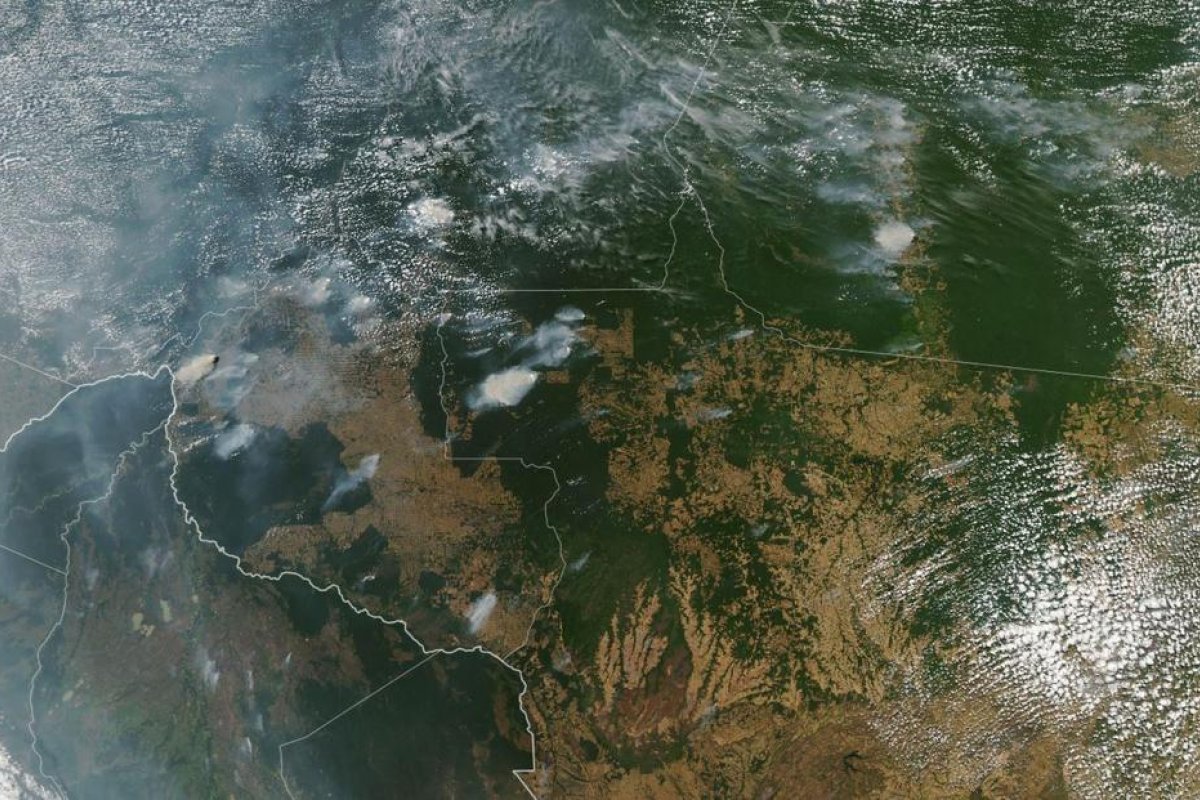 Alarmismo e revanchismo