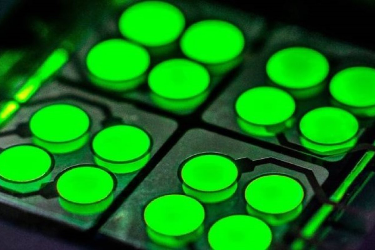 Cientistas criam tatuagem iluminada de OLED removível com água e sabão