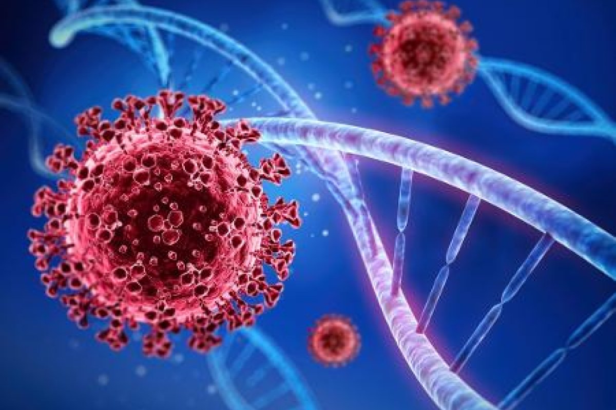 Estudo aponta que variante brasileira pode driblar anticorpos e imunizantes