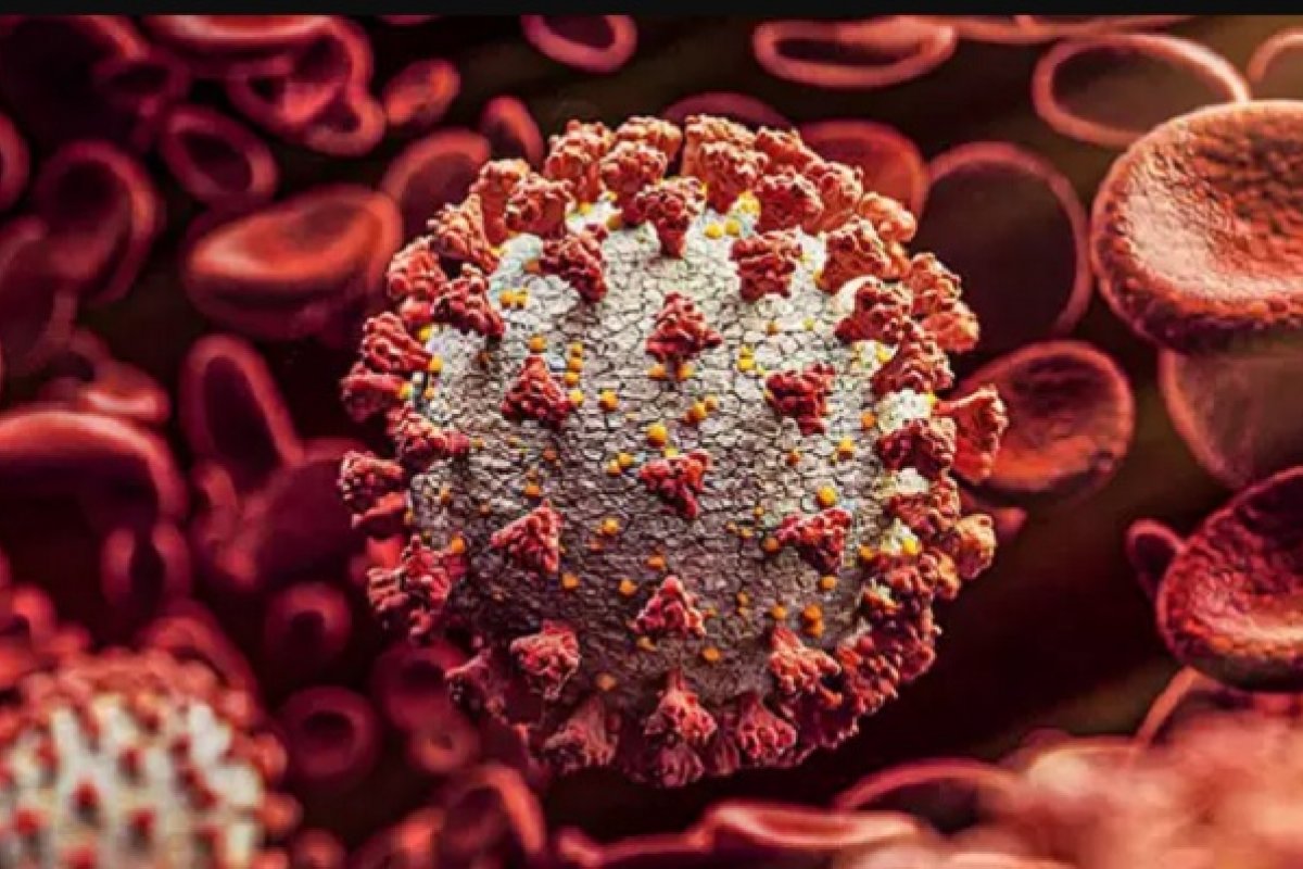 Covid-19: Brasil ultrapassa marca dos 257 mil mortos