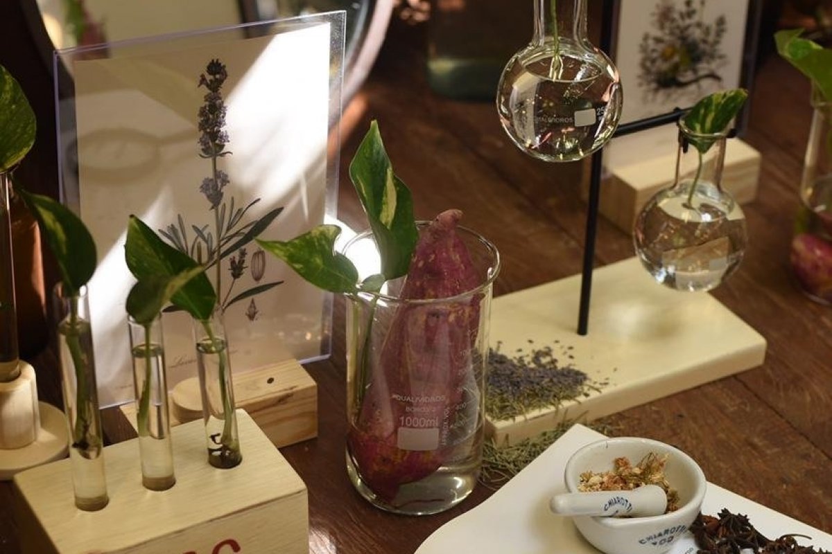 Laces lança "Mesa de Alquimia"