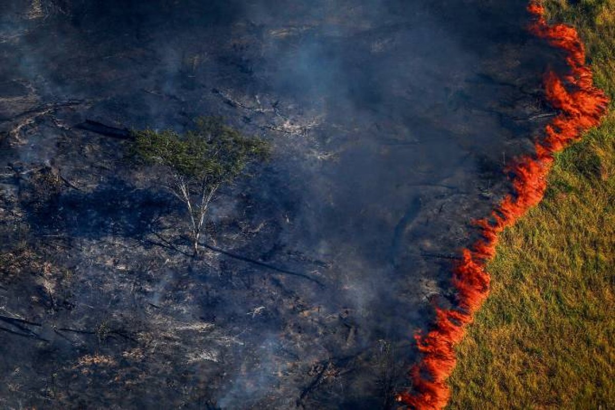 Secretário-geral da Onu pede proteção para Amazônia