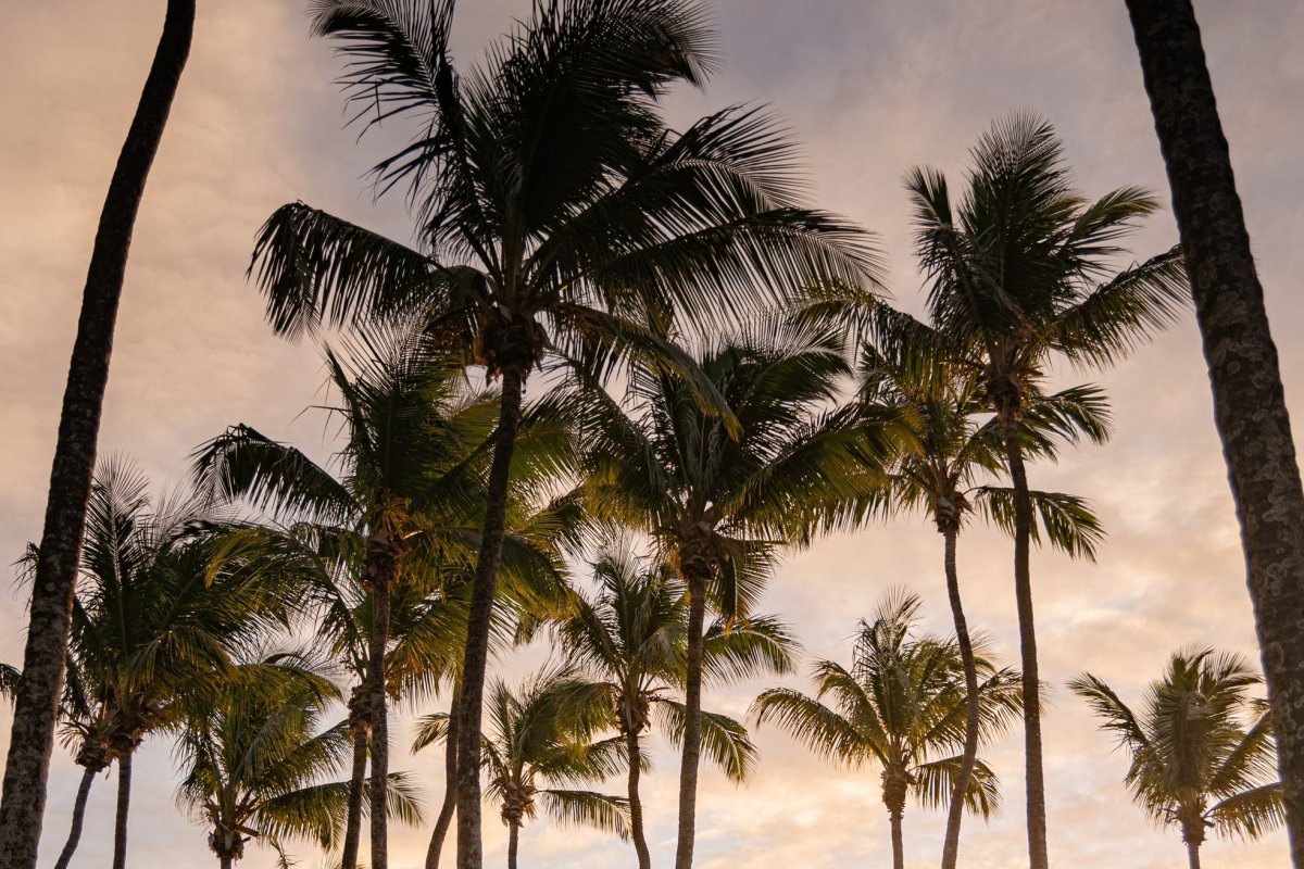 Novo livro do SobreGentes comemora aniversário de Salvador
