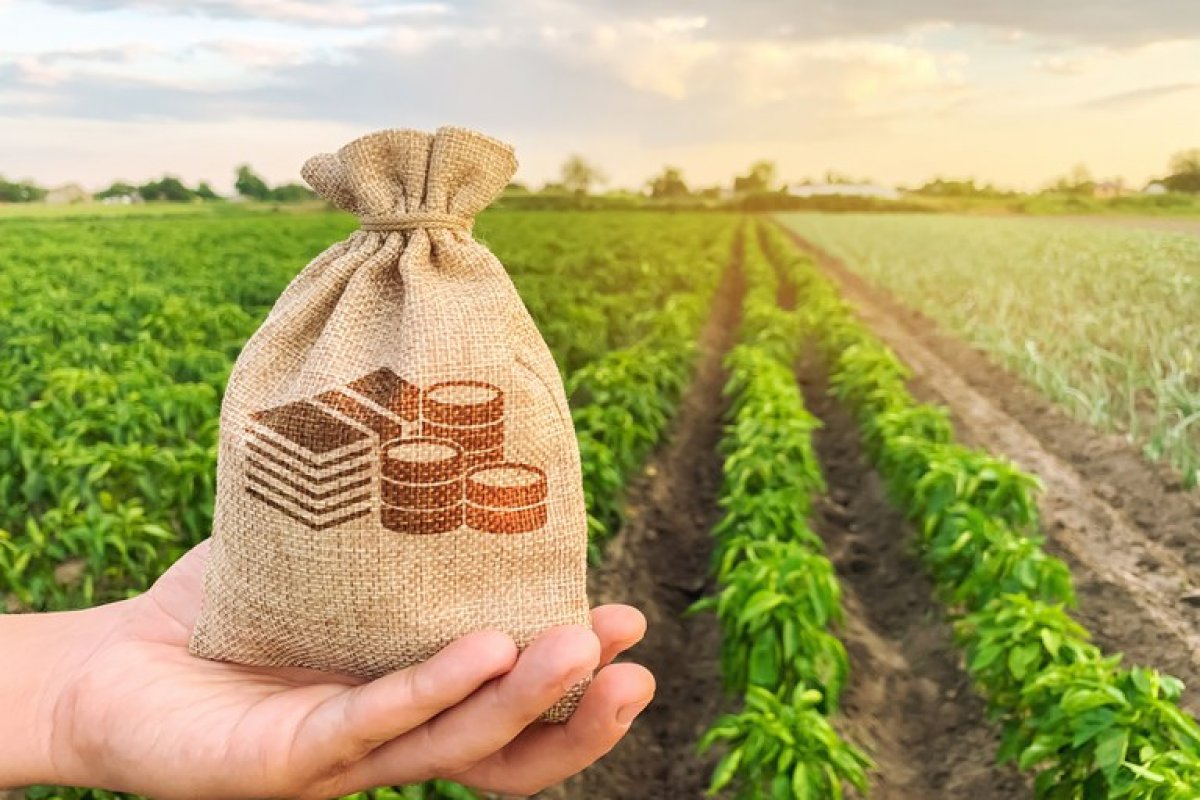 Contratação de crédito rural tem aumento de 18% em oito meses