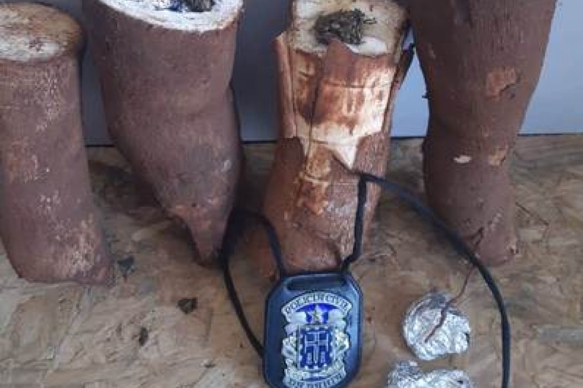 Polícia prende mulher em flagrante com maconha escondida em mandioca