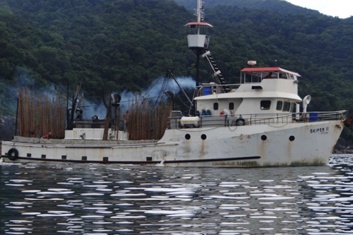 Autorizações de pesca são prorrogadas por 240 dias