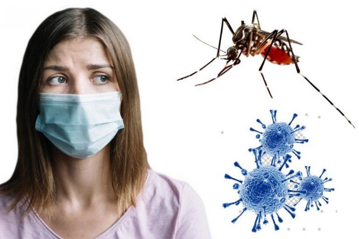 Interação entre covid-19 e doenças transmitidas por mosquitos