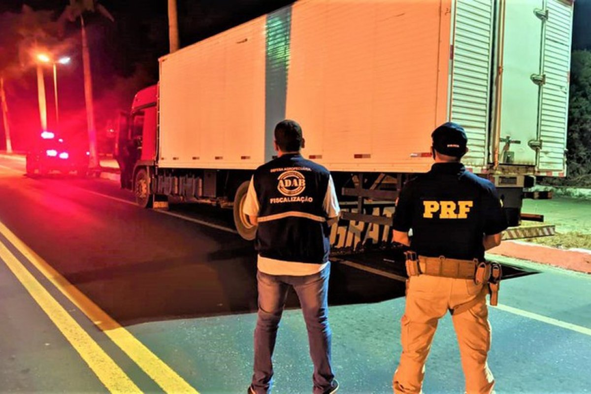 Ação conjunta da PRF e ADAB apreende 8,5 toneladas de aves congeladas transportadas irregularmente
