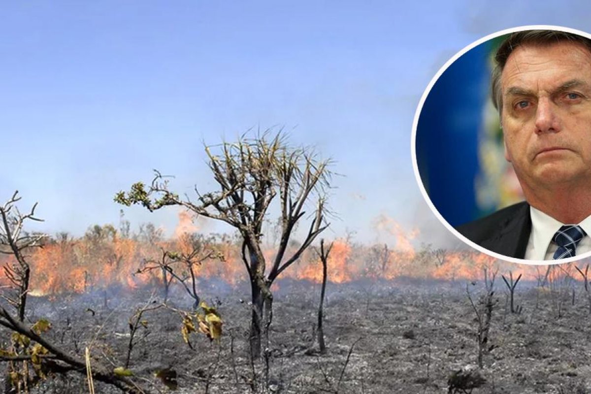 Governo publica decreto que autoriza contratação de brigadas florestais na Amazônia