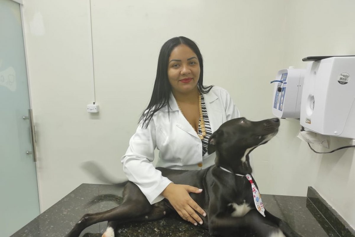 Cão ferido que entrou sozinho em clínica passa bem após primeira sessão de quimioterapia