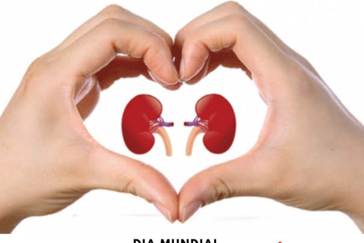 No Dia Mundial do Rim, especialista alerta sobre os perigos das doenças renais crônicas em pacientes de Covid-19
