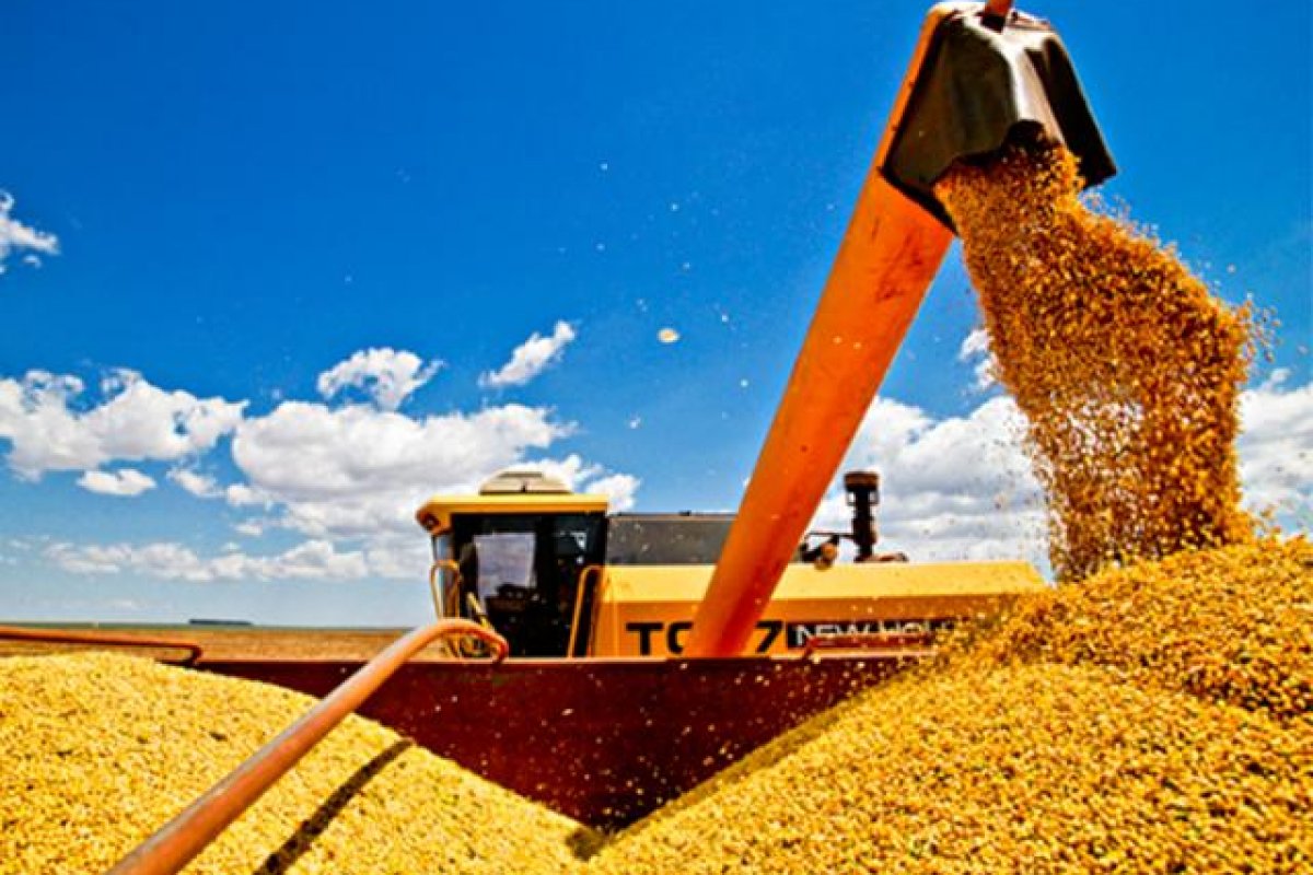 IBGE prevê safra de 263,1 milhões de toneladas para 2021