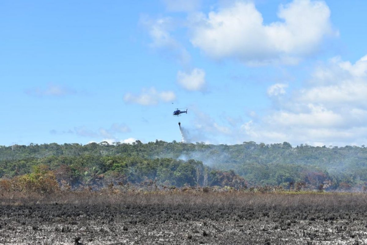 Bombeiros debelam incêndio em uma área de reserva florestal em Arraial d'Ajuda