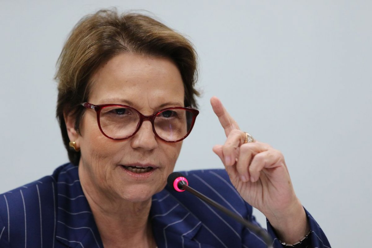 Queimadas não devem são barreiras comerciais ao agronegócio, diz ministra