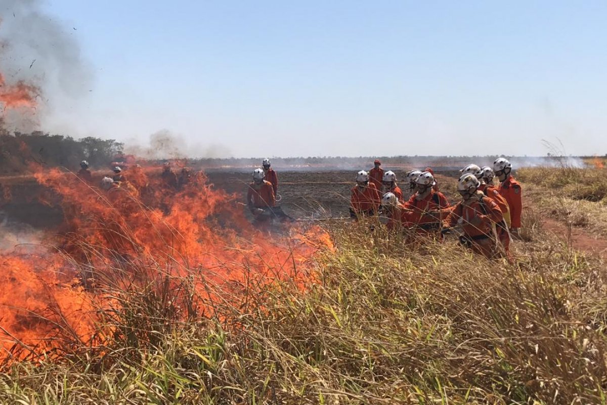 Bombeiros realizam curso para prevenção de incêndios florestais em município baiano