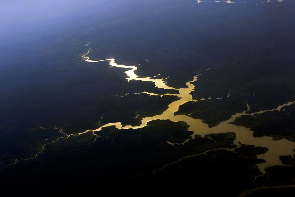 60% dos executivos da América Latina começam a enxergar lucro na agenda ambiental, diz pesquisa