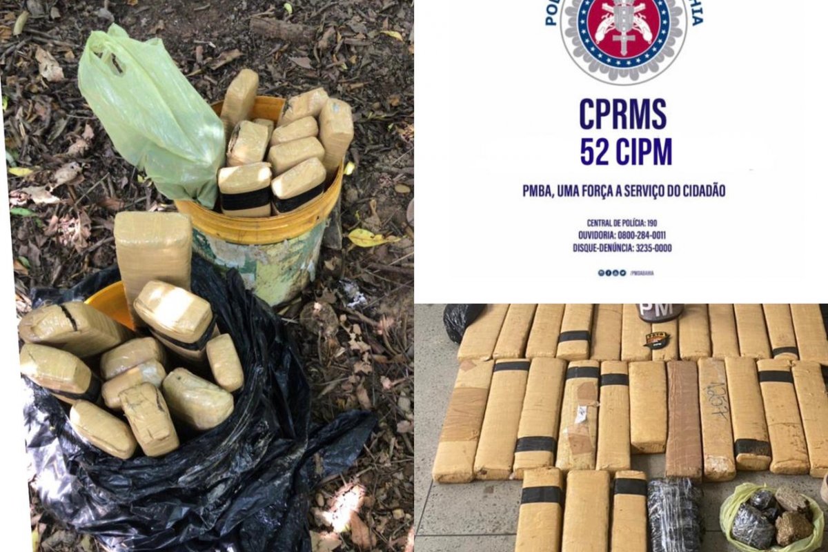 Polícia apreende 60 quilos de maconha durante ação em Lauro de Freitas