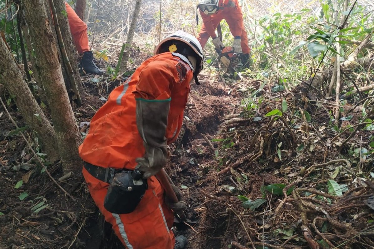 Incêndio que atingiu reserva indígena no sul da Bahia é controlado