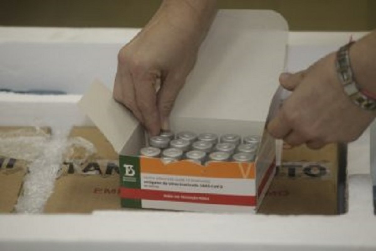 Bahia recebe novo lote com 308 mil doses da Coronavac nesta quarta (17)