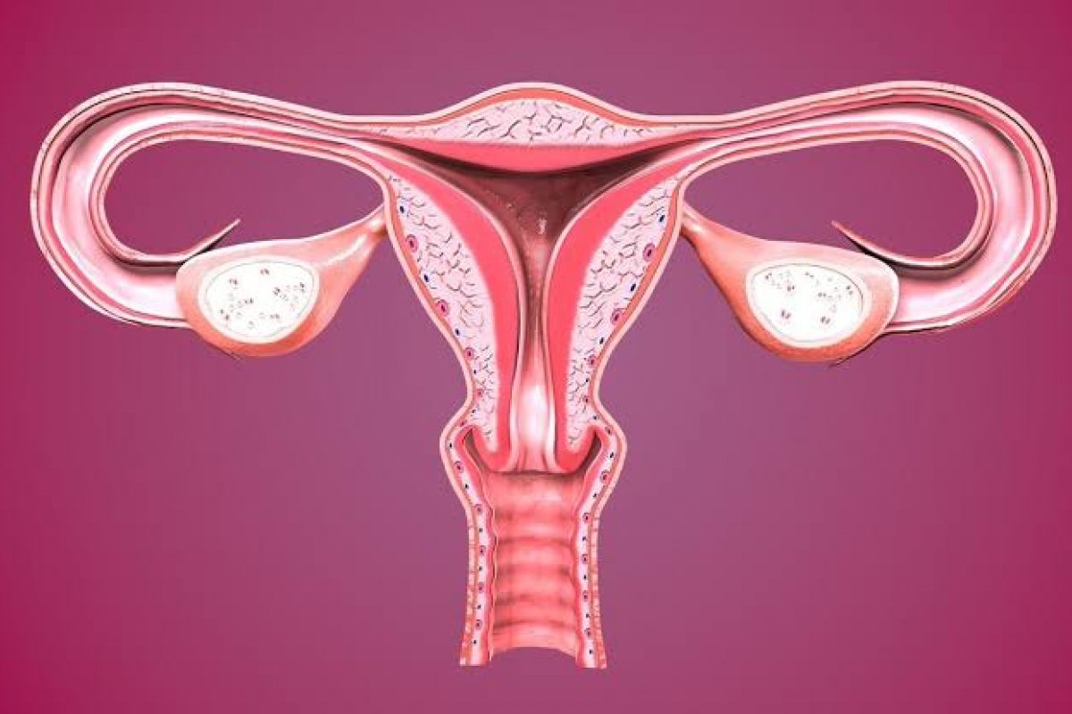 Doença evitável é a terceira causa de morte por câncer entre as mulheres no mundo