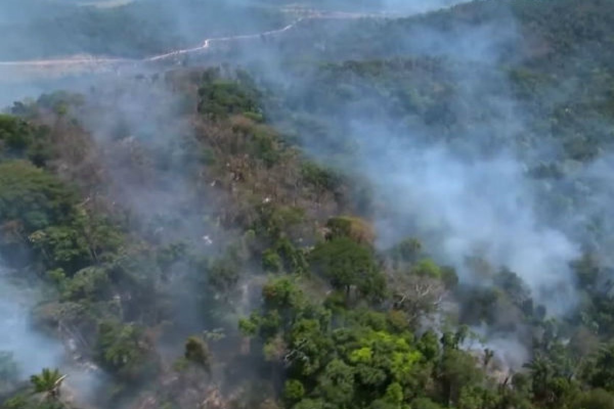 Governo libera R$ 38,5 milhões para combater queimadas na Amazônia