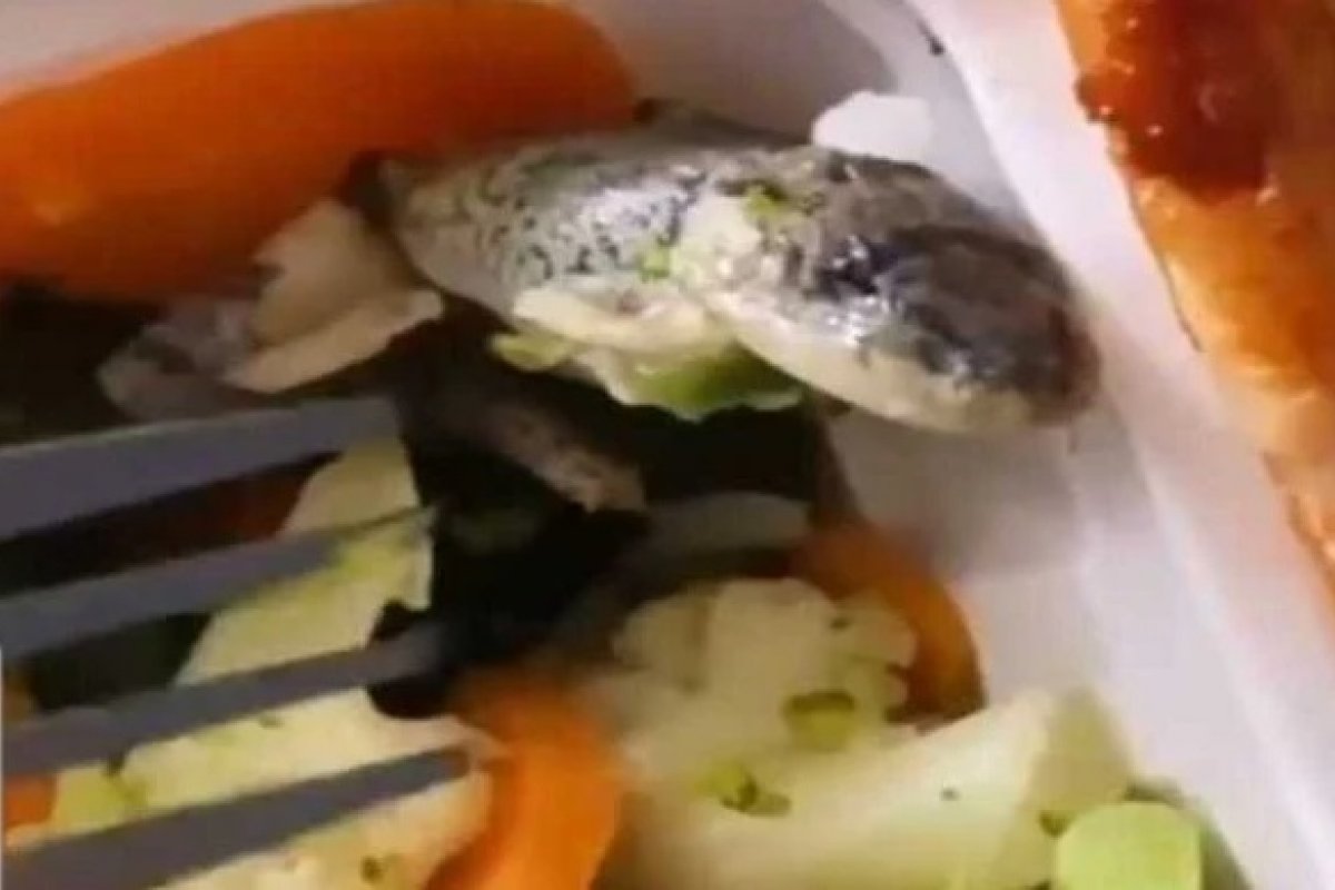 Vídeo: influenciadora se assusta após encontrar rã em comida pedida por delivery