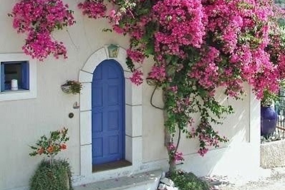 Saiba como decorar a fachada da casa com plantas 