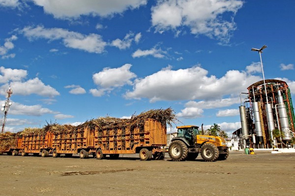 SEI: setor do agronegócio na Bahia cresceu 11,2% no quatro trimestre de 2020