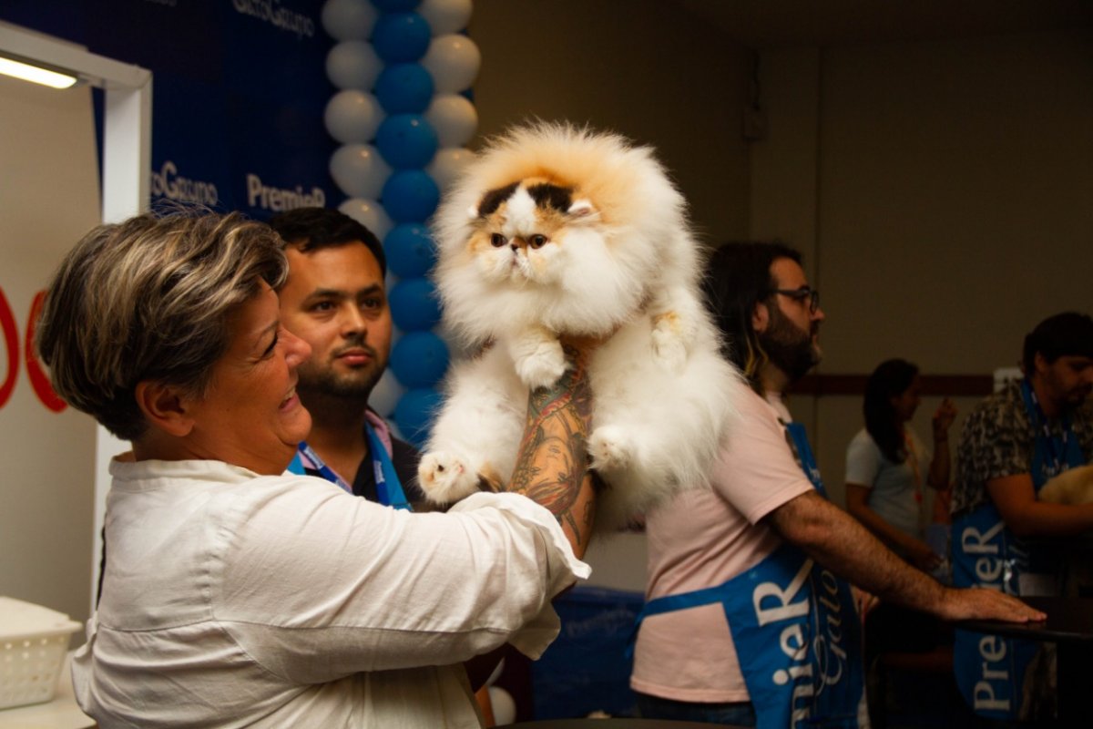 Maior evento felino no Norte e Nordeste ocorre em Salvador