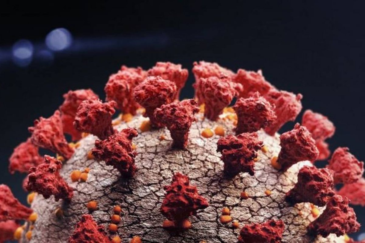 Brasil atinge marca de 12 milhões de infectados pela Covid-19