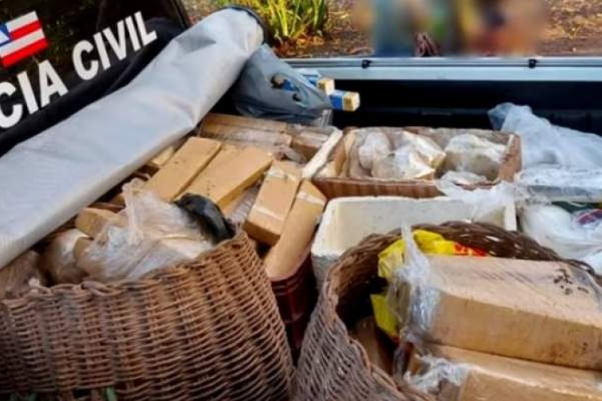 Polícia encontra drogas avaliadas em R$ 2 milhões enterradas em fazenda, no município de Teixeira de Freitas