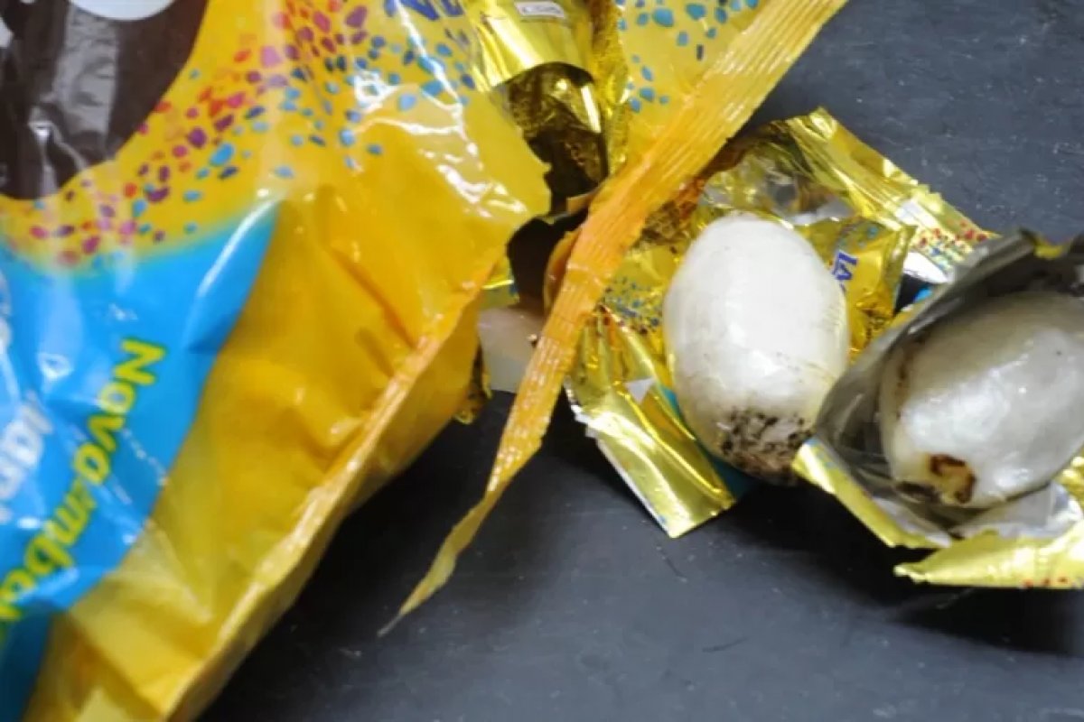 Polícia Federal apreende 19 kg de cocaína em bombons no aeroporto de SP