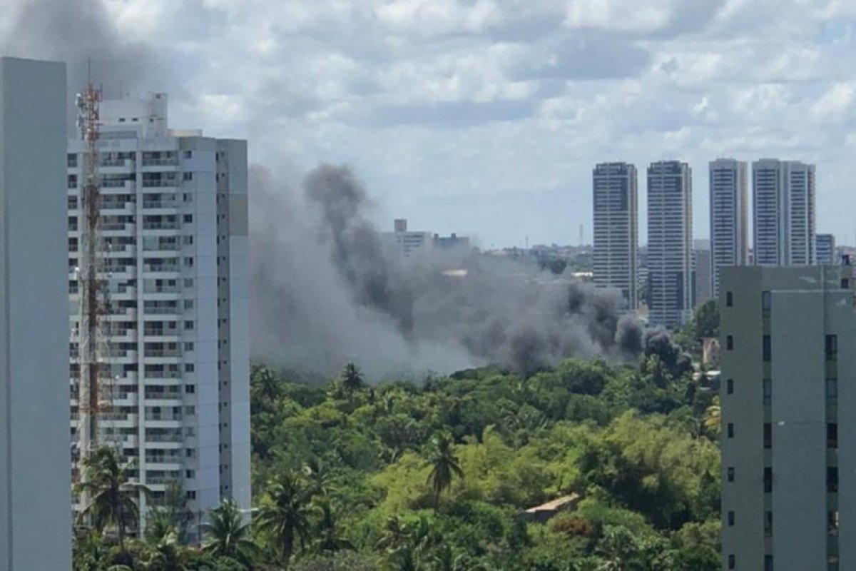 Incêndio atinge vegetação no bairro de Pituaçu, em Salvador
