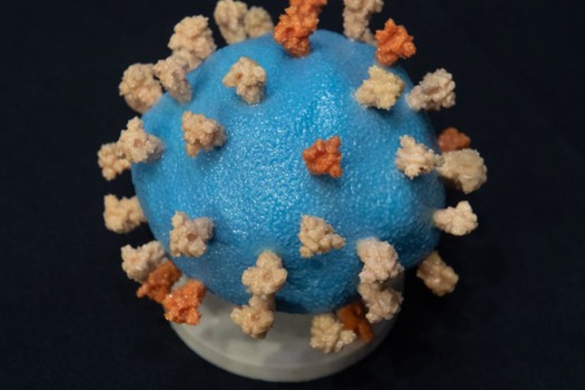 Relatório da OMS sobre surgimento do coronavírus terá quatro teorias