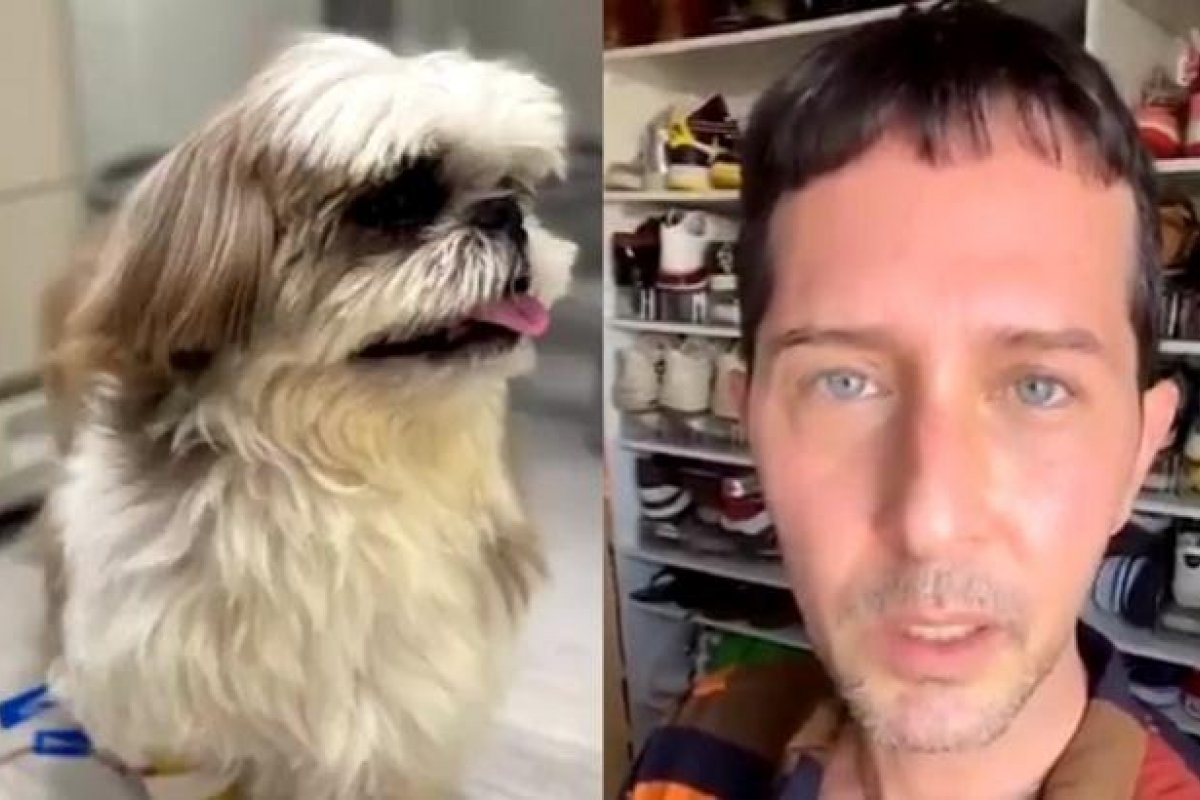 Maldade! Cachorro de Arlindo Grund é envenenado e apresentador denuncia casal