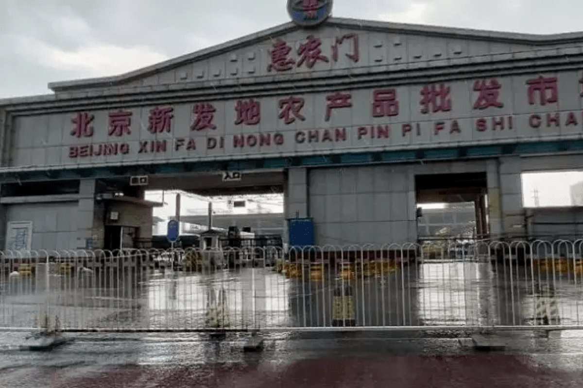 Segundo OMS, covid-19 pode ter chegado a Wuhan pelo comércio de animais selvagens