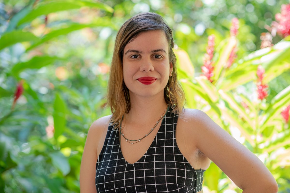 Mostra Baiana lança catálogo celebrando a história do evento! 