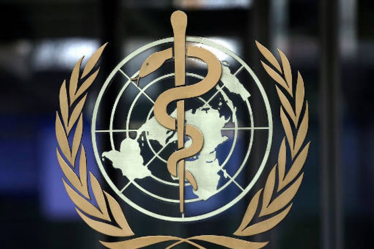 OMS confirma em relatório final que pandemia de covid-19 teve origem animal