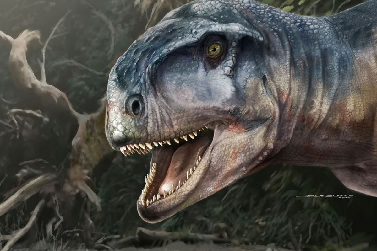 Espécie de dinossauro é descoberta na Argentina