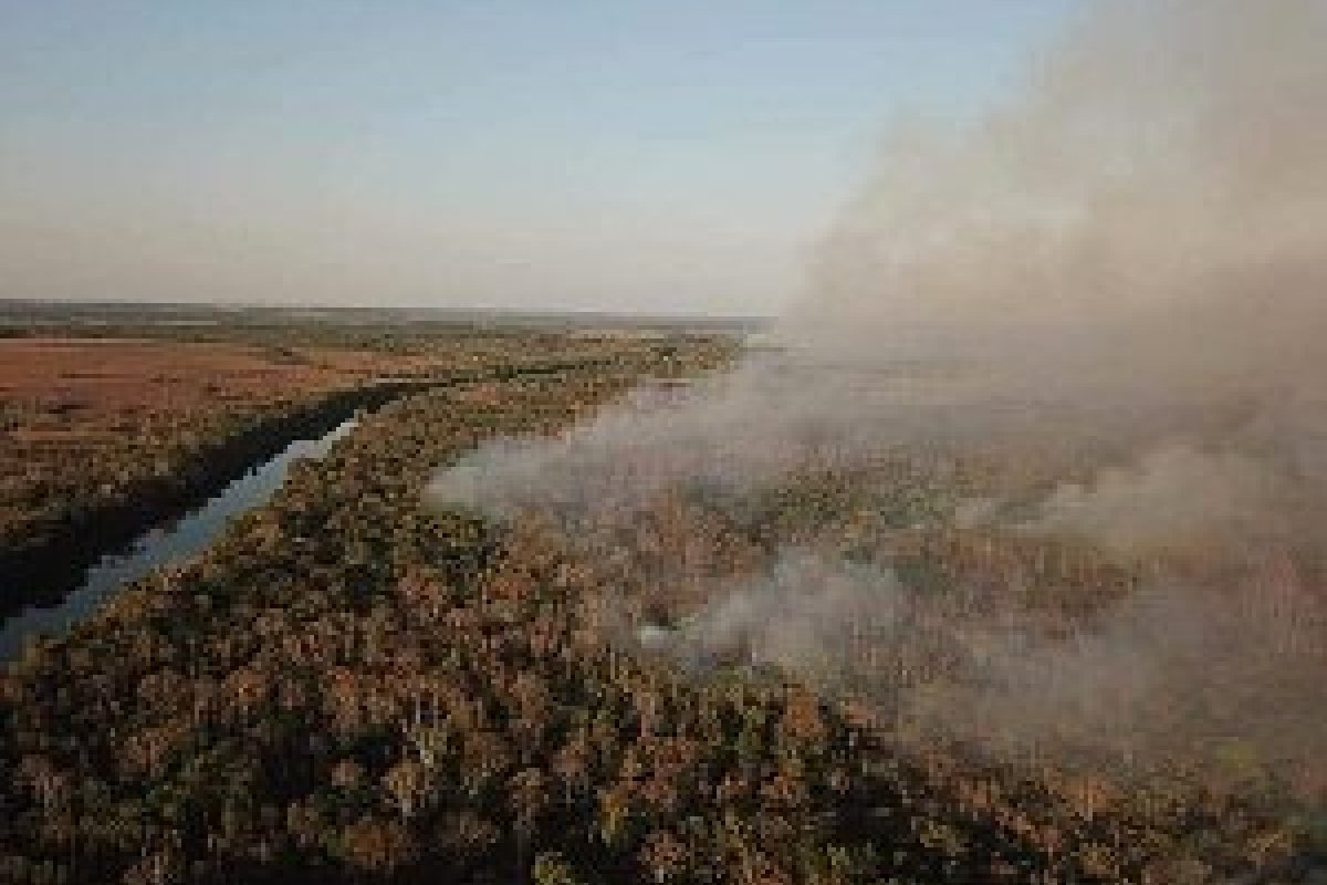 Lava Jato: AGU concorda com destinação de fundo para educação e Amazônia