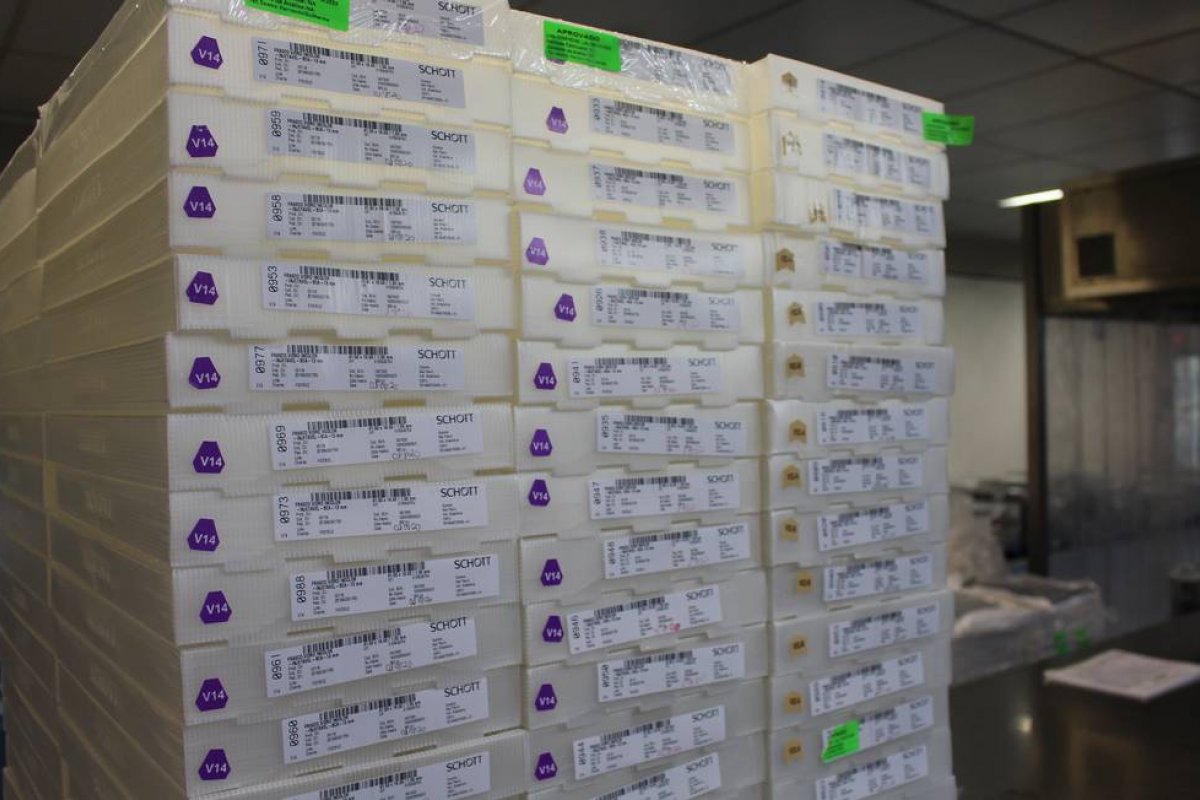 Fiocruz entrega 2,2 dos 3,8 milhões de doses prometidas para março