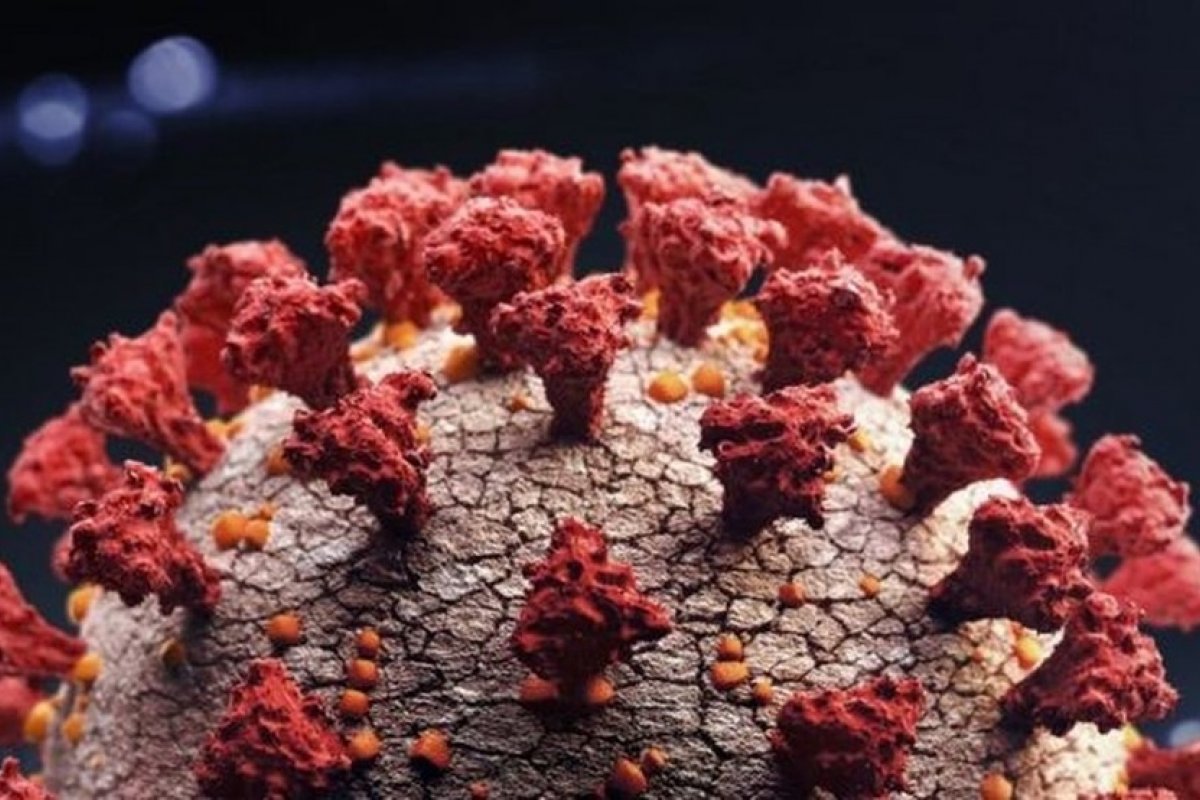 Covid-19: Brasil registra mais 3,7 mil mortes e 91 mil novos casos