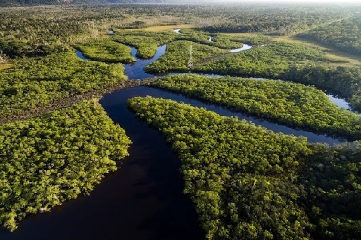 Estudo da ONU aponta que terras indígenas retêm quase metade da floresta intacta na Amazônia