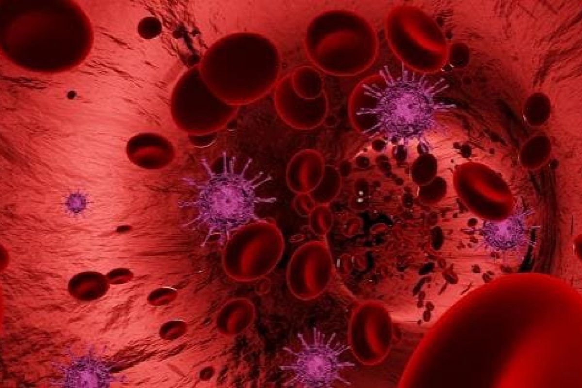 Estudo americano revela que Covid-19 tem tendência a se aproximar de proteínas produzidas pelo tipo A