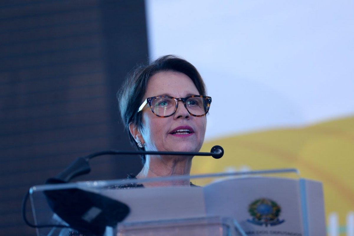 Indonésia anuncia abertura de mercado para importação de carnes brasileiras