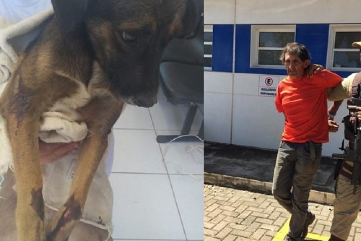 Idoso é preso após arrastar cachorro pelas ruas