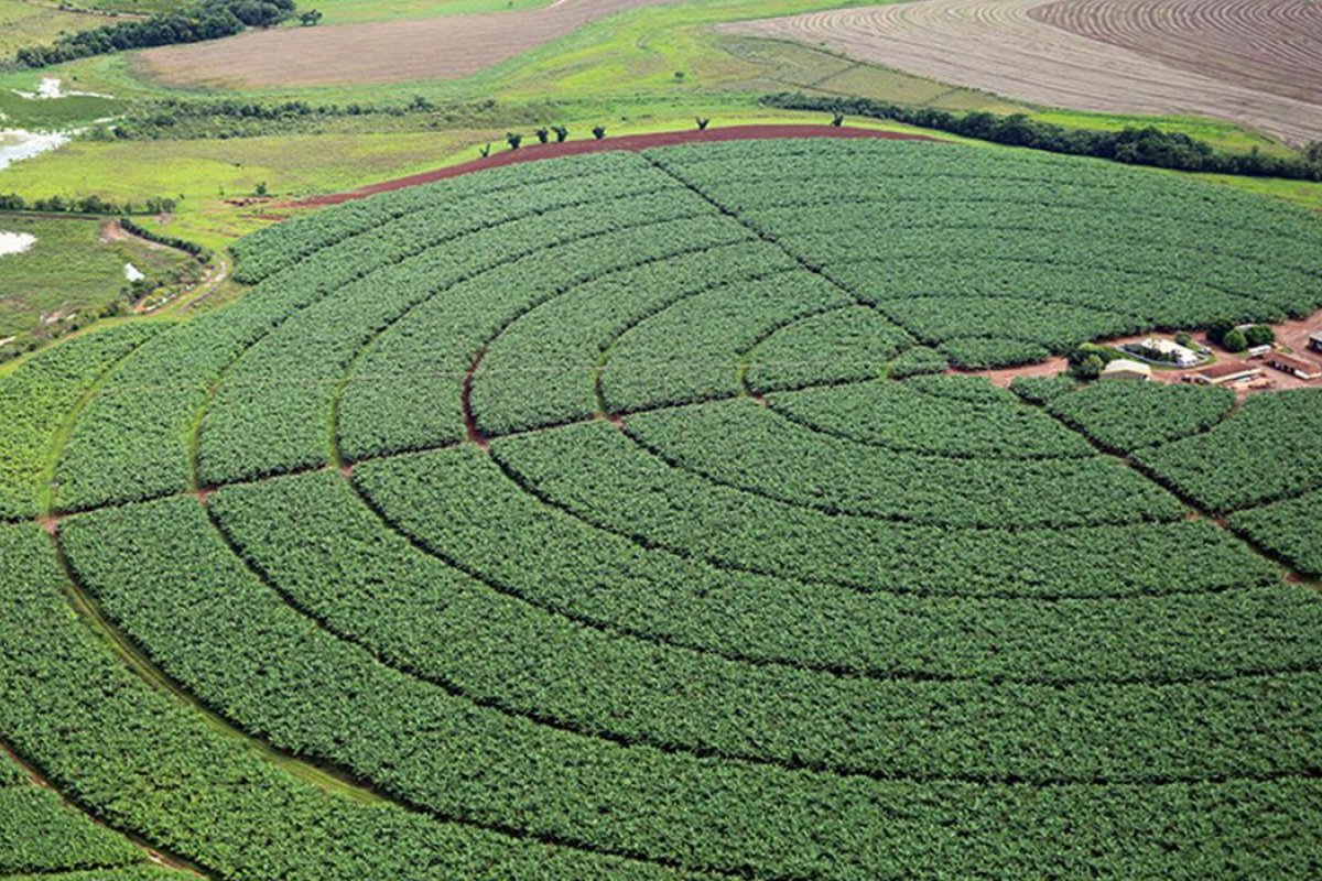 IBGE prevê safra recorde de 264,9 milhões de toneladas para 2021