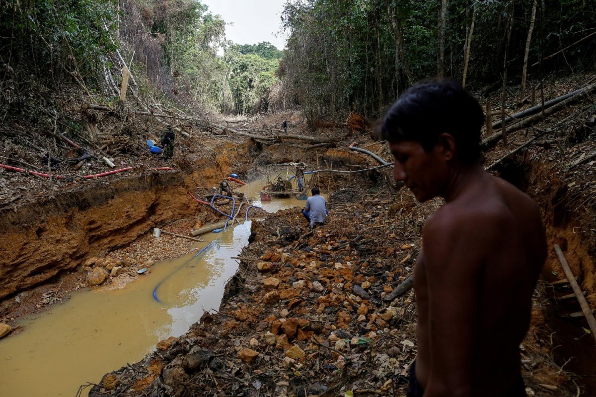 Levantamento de Instituto aponta 321 pontos de mineração ilegal de ouro na Amazônia