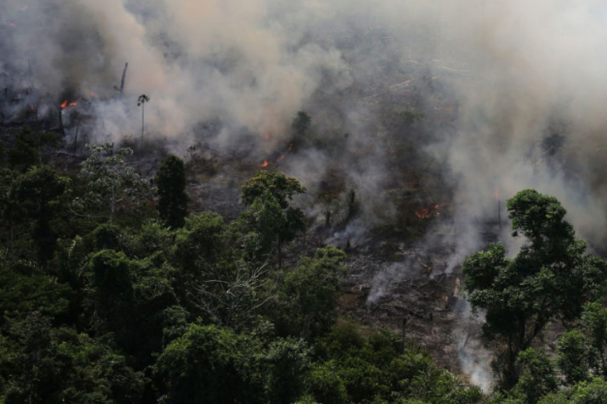 Governo decreta lei que proíbe queimada em florestas de todo Brasil, no período da seca